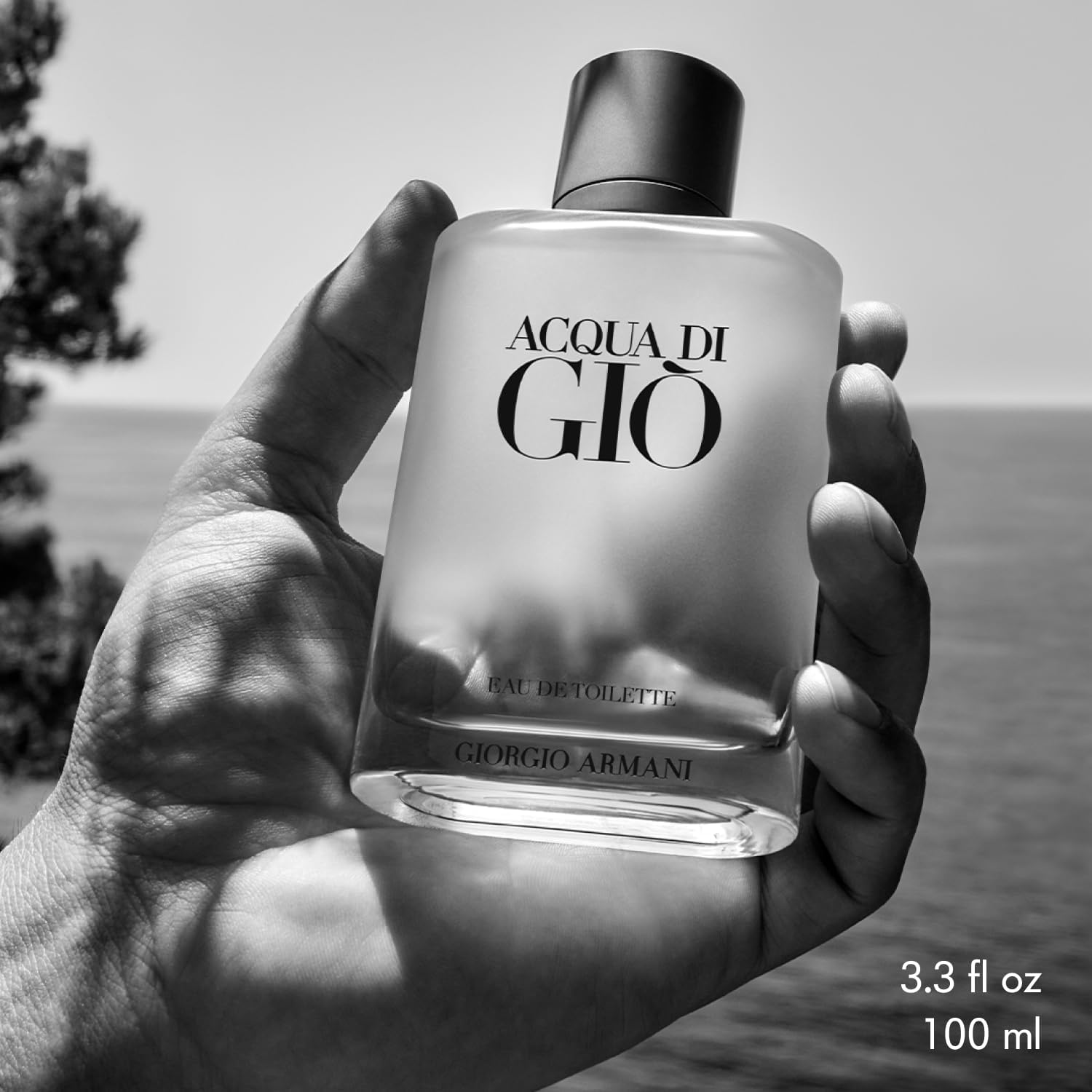 Acqua Di Gio Perfume